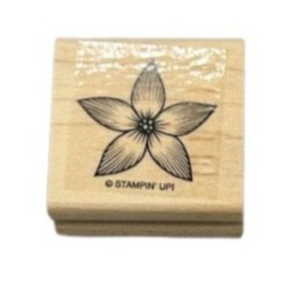 Lot of 4 Stampin up Gods Beauty Wood Rubber Stamps Nature Butterflies Flowers - Picture 3 of 13